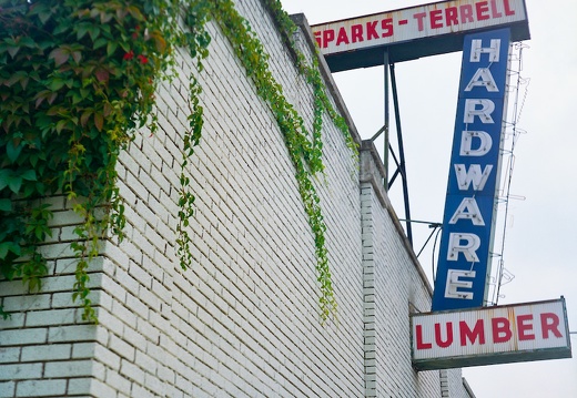 Vines and Signs